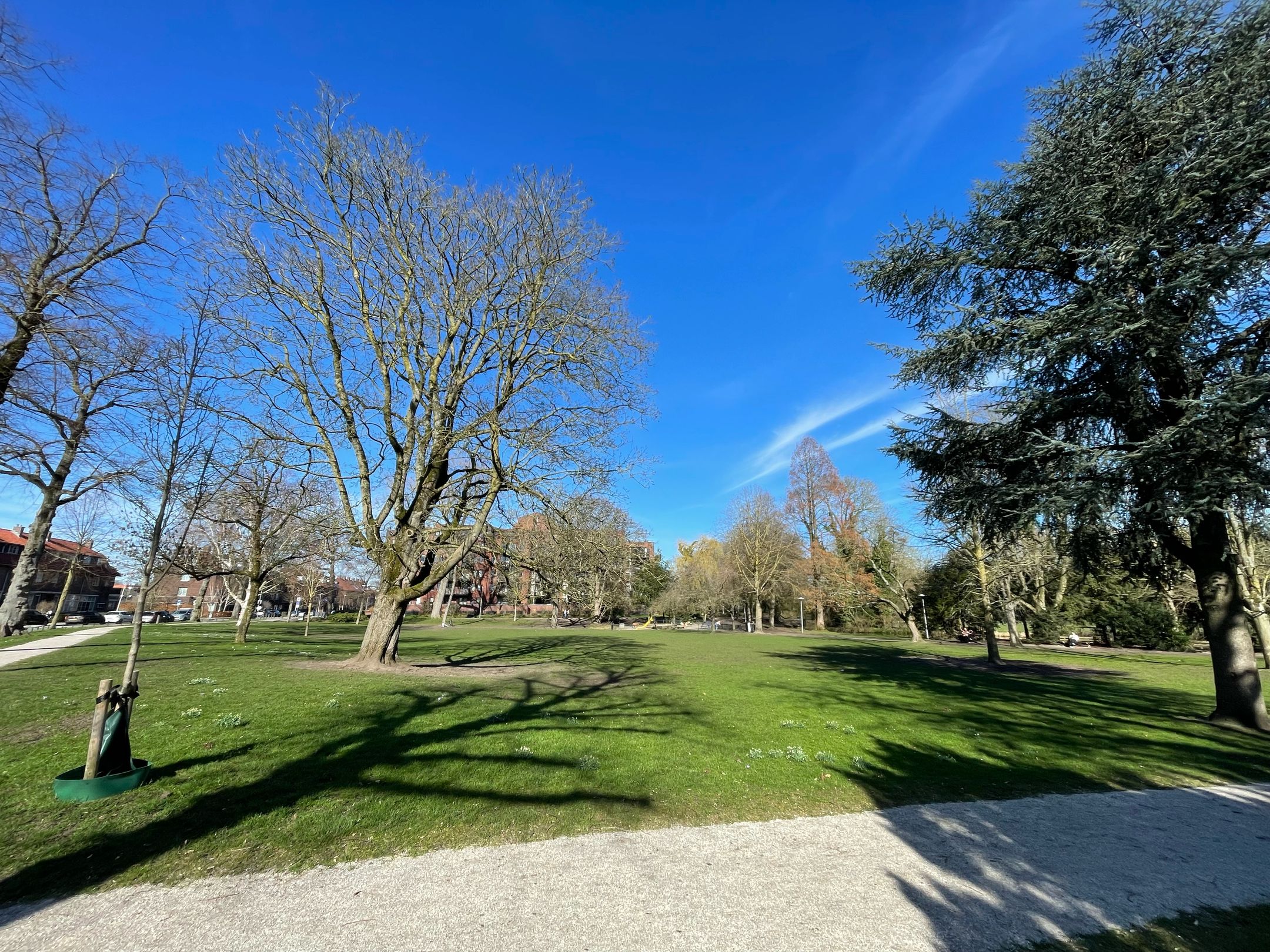 Foto 48 van Beethovenlaan 17