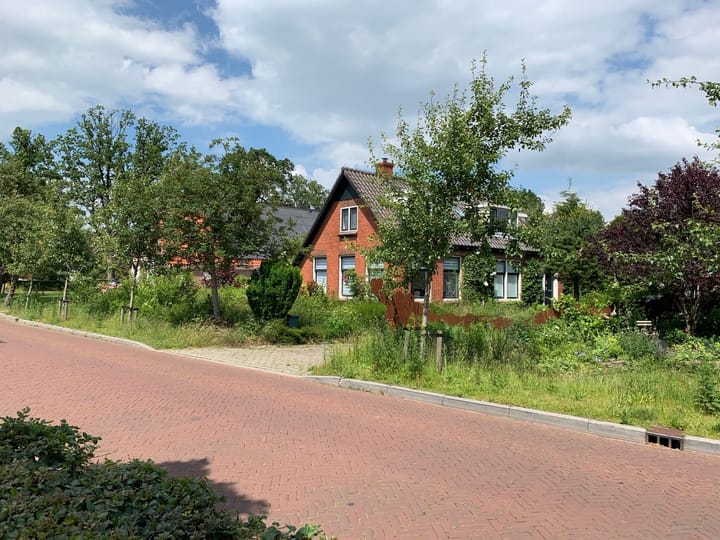 Foto 2 van de Pol 11