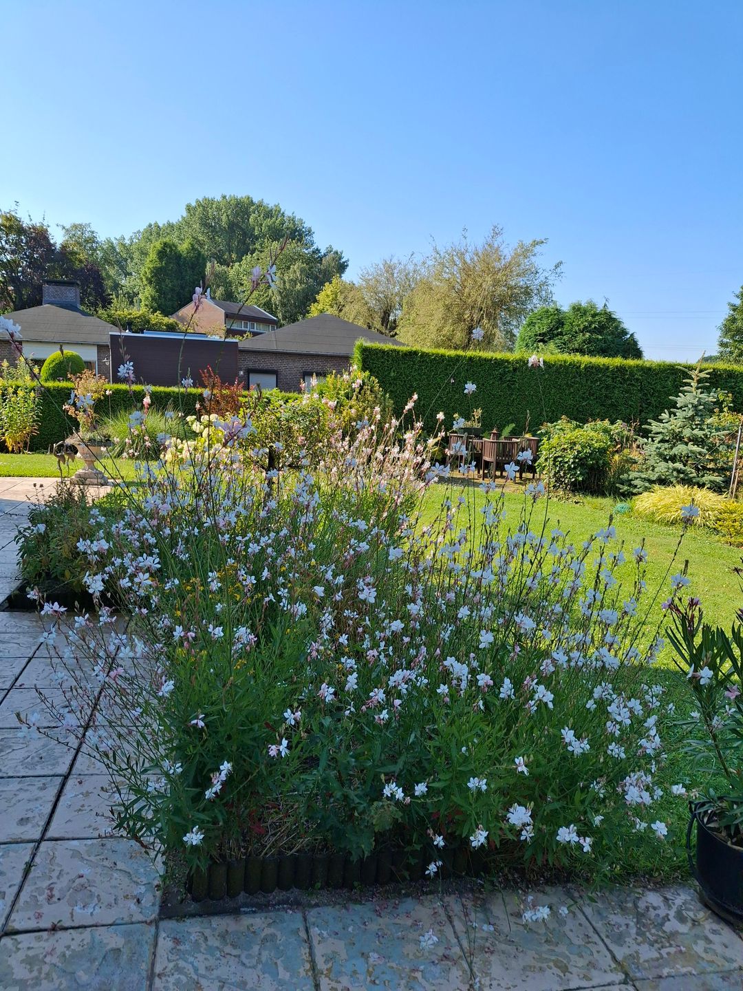 Foto 61 van Weezenhof 2708