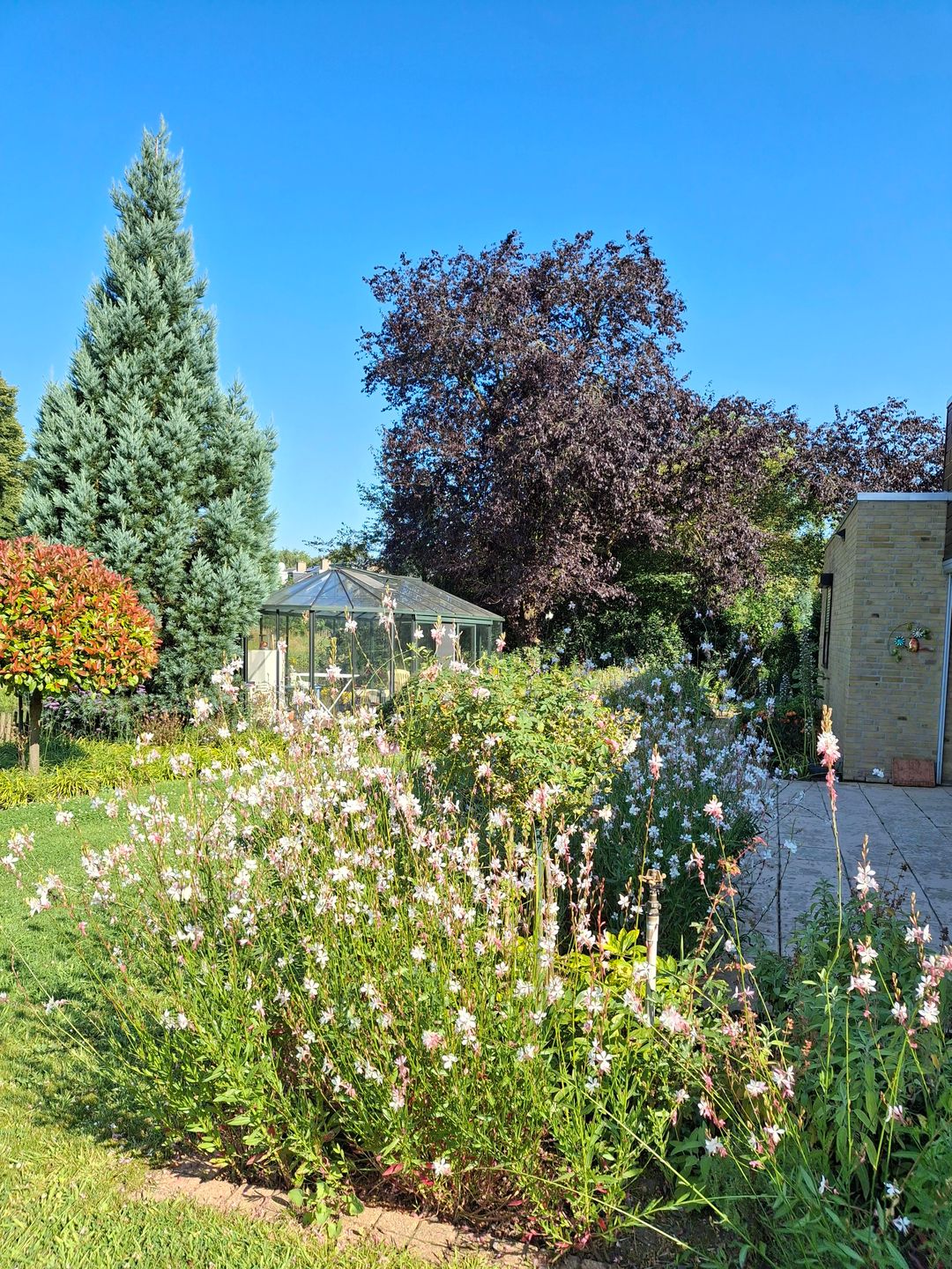 Foto 62 van Weezenhof 2708