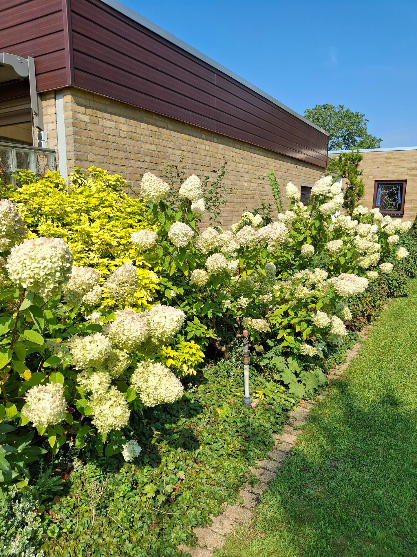 Foto 64 van Weezenhof 2708