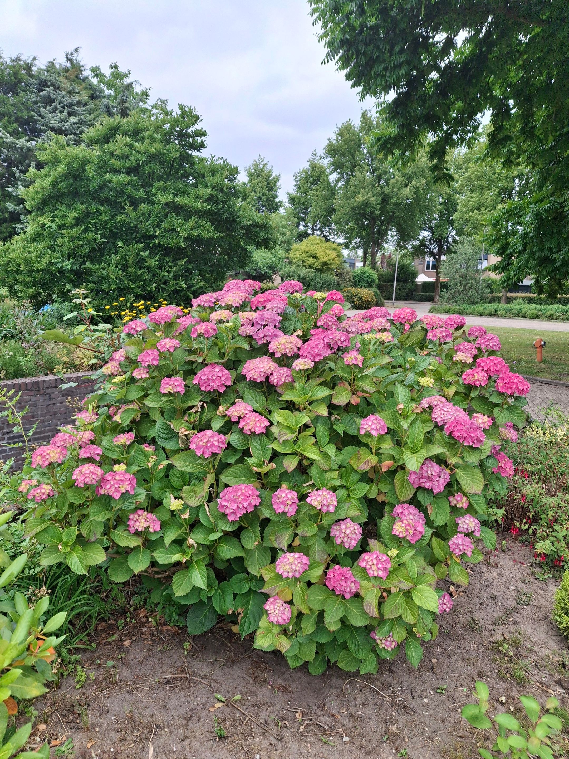 Foto 66 van Weezenhof 2708