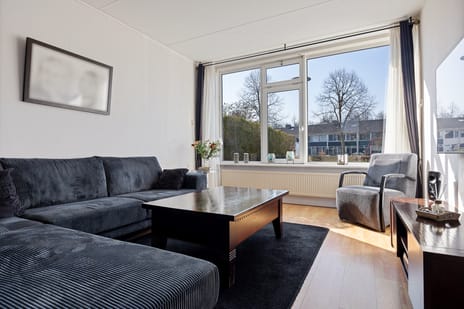 Groene Zoom 61 tertiary image