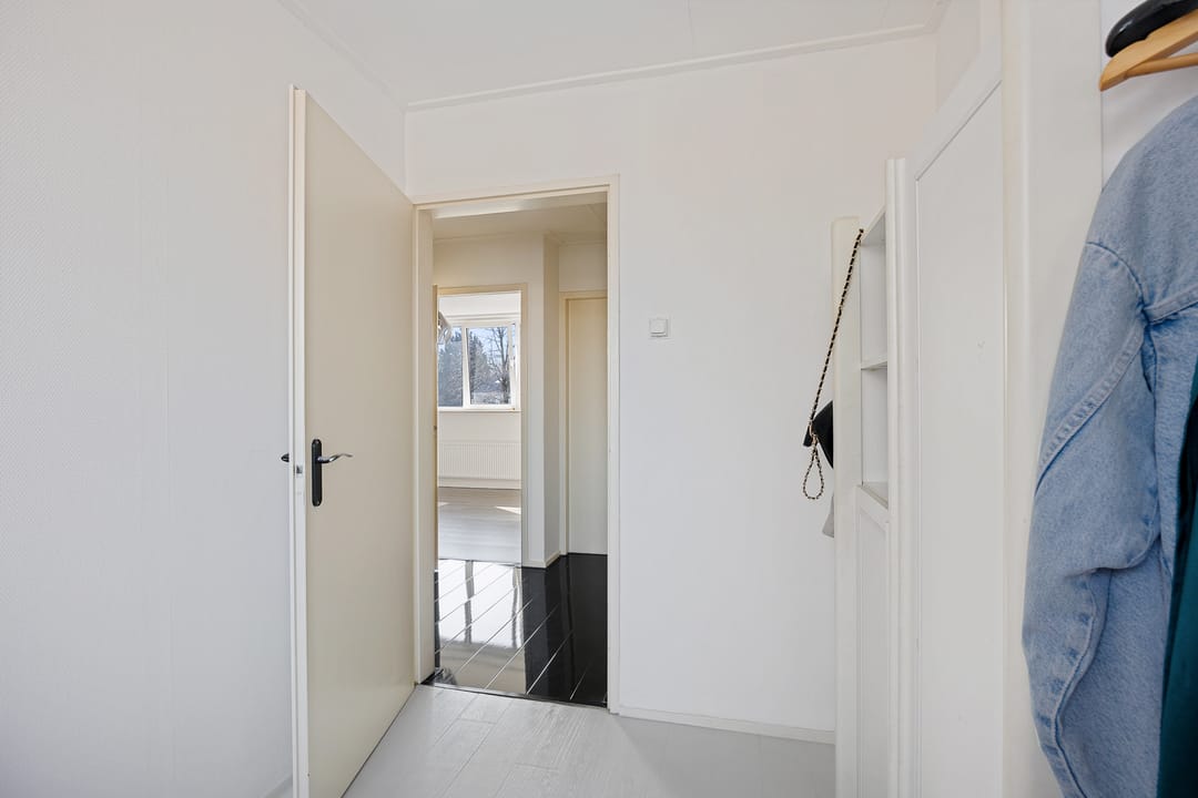 Photo 31 of Groene Zoom 61