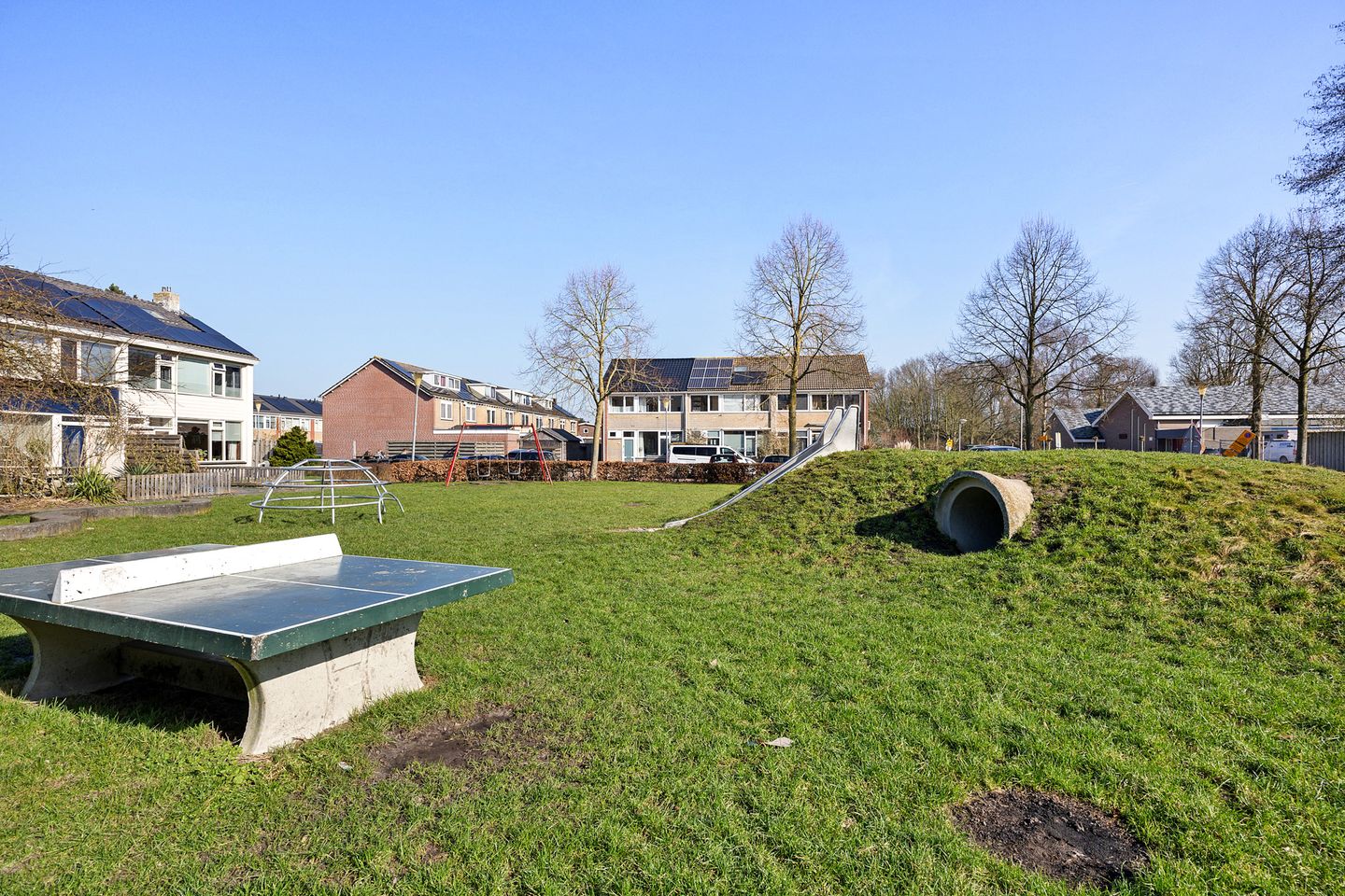 Photo 5 of Groene Zoom 61