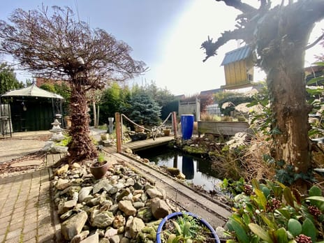 in 't Broek 5-58 tertiary image