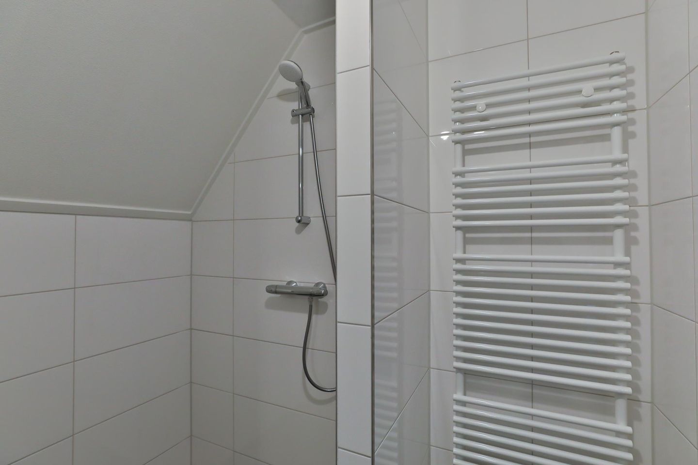 Foto 29 van Rodeweeshuisstraat 113