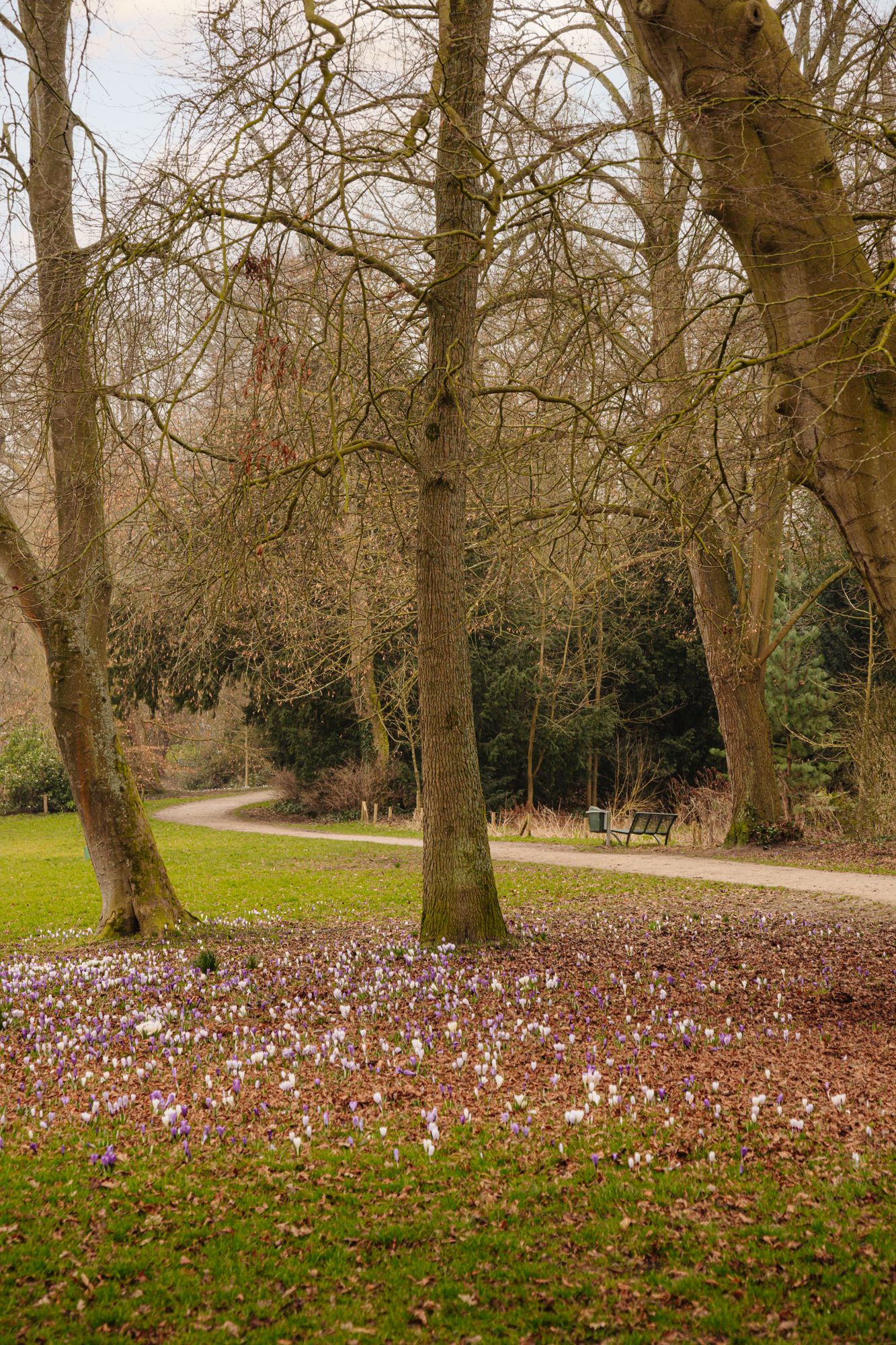 Foto 44 van Prins van Wiedlaan 32