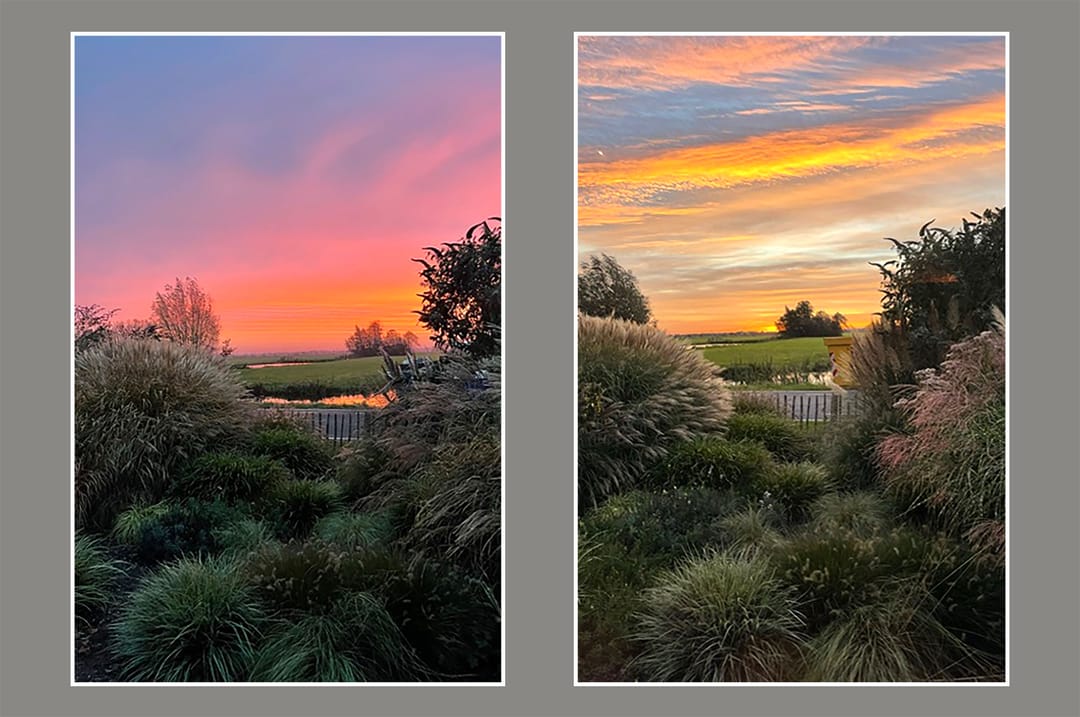 Photo 41 of Donkereind 10