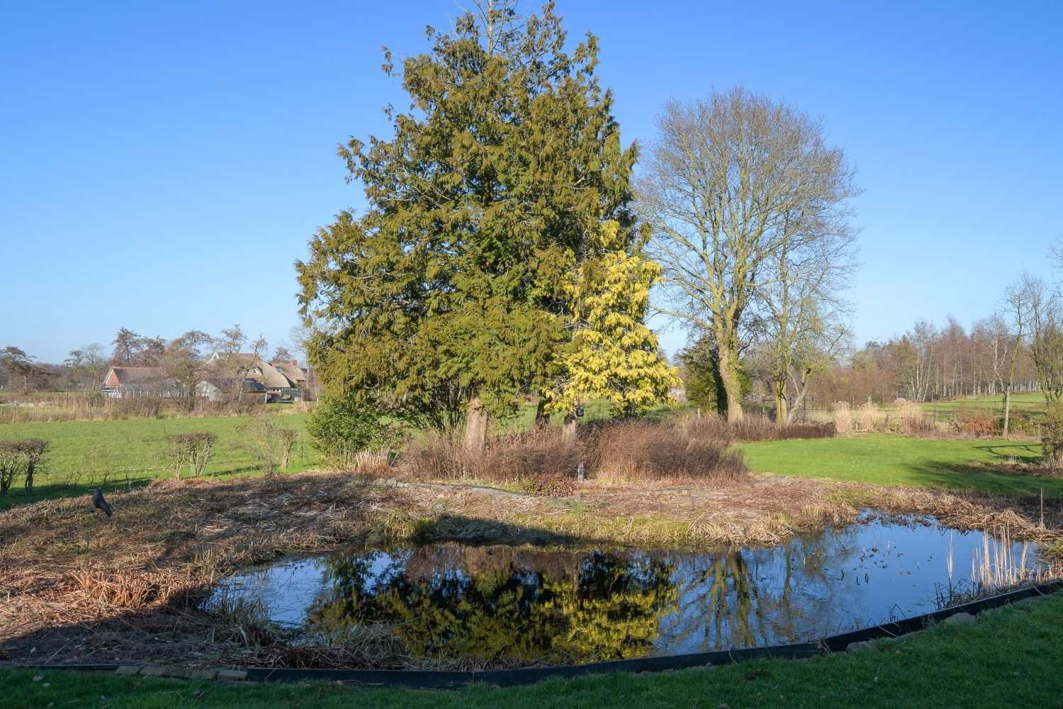 Photo 66 of De Feart 34