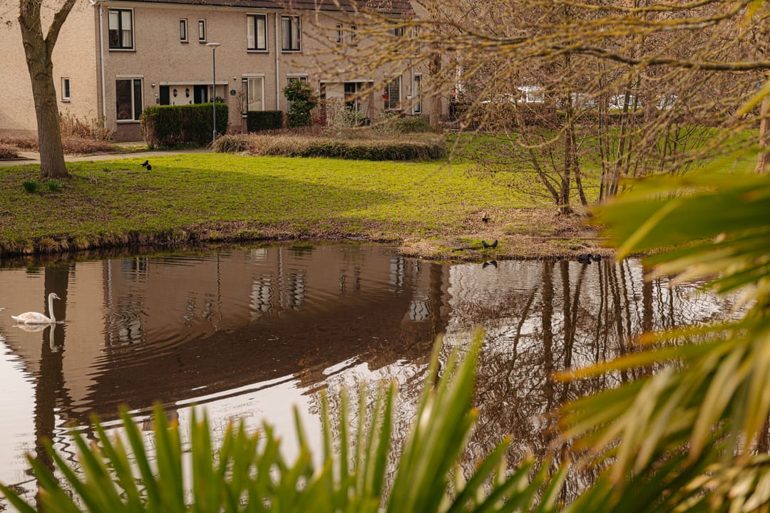 Foto 8 van Rodenburglaan 9