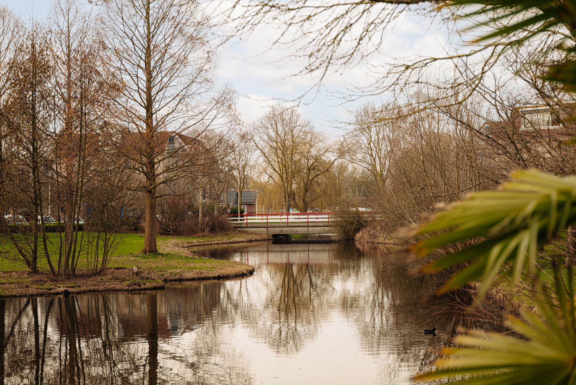 Foto 15 van Rodenburglaan 9