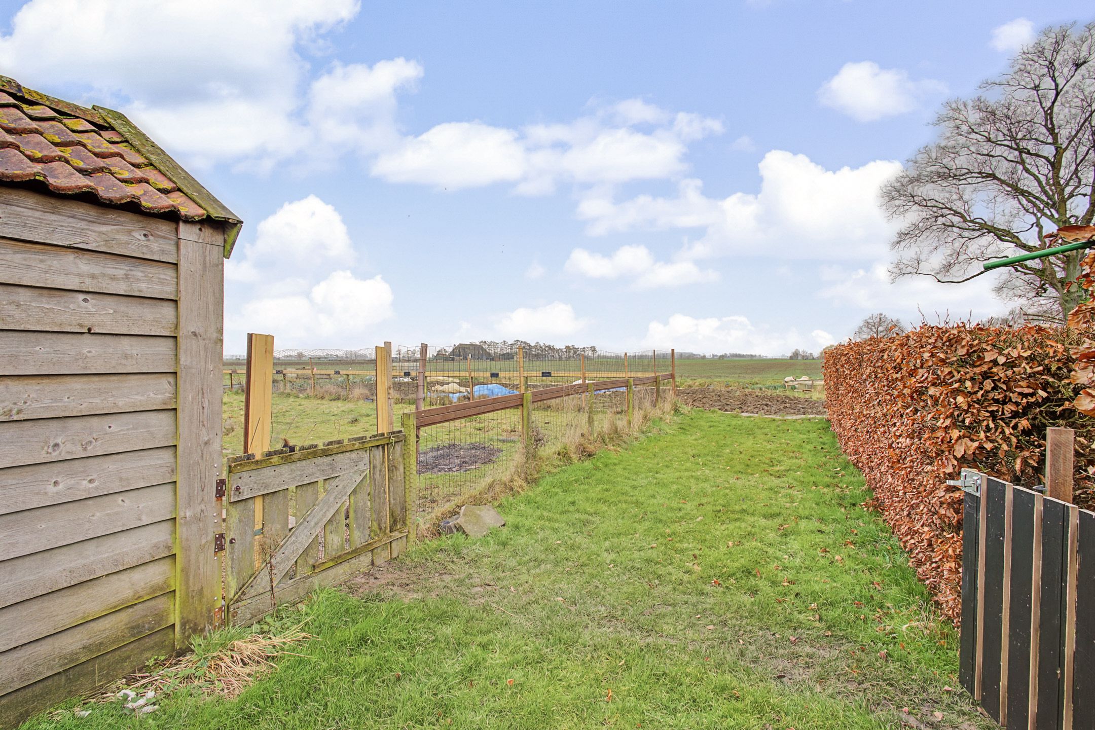 Foto 33 van Axelsestraat 55