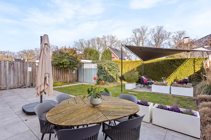 Foto 2 van Pimpernel 24