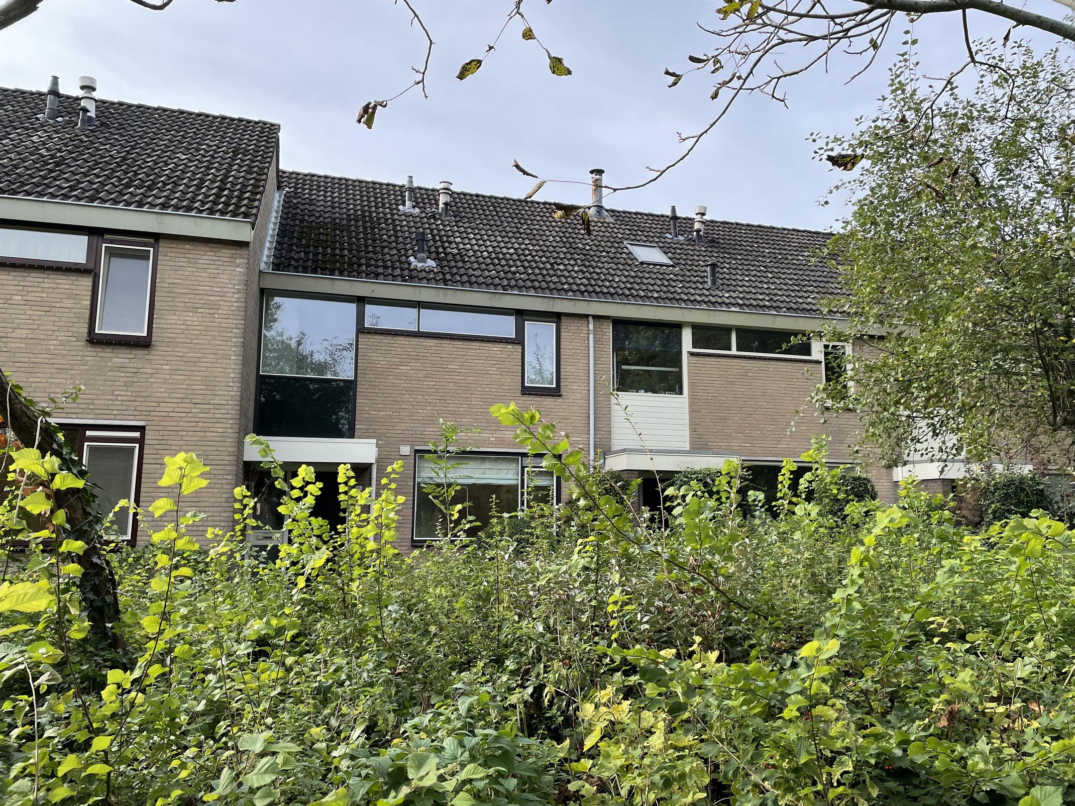 Foto 3 van Beukenrode 282