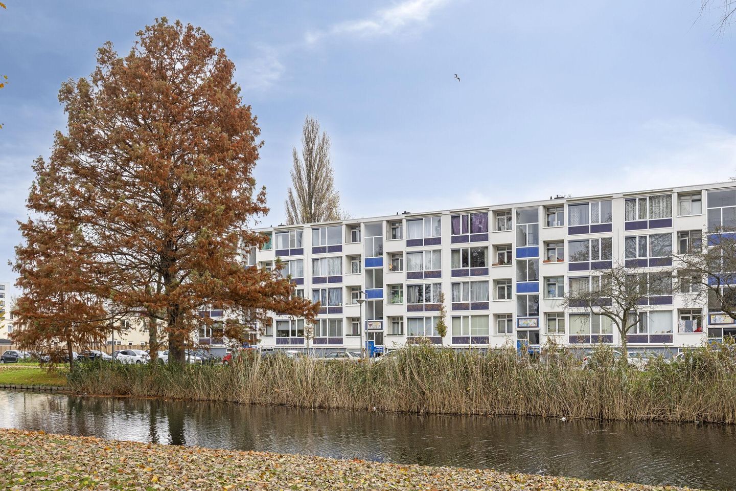 Photo 1 of Hoogenwaardstraat 74-A