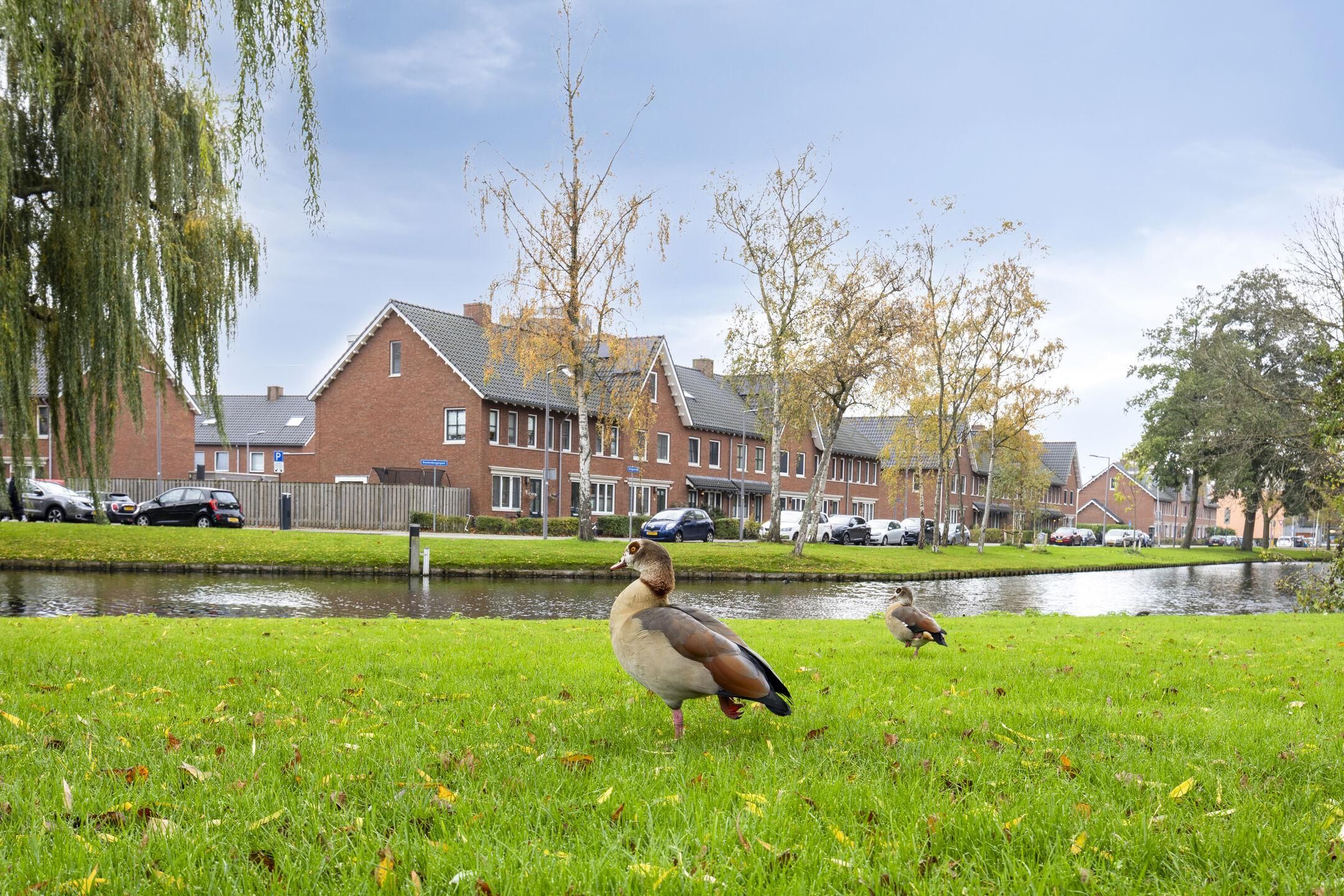 Foto 24 van Hoogenwaardstraat 74-A