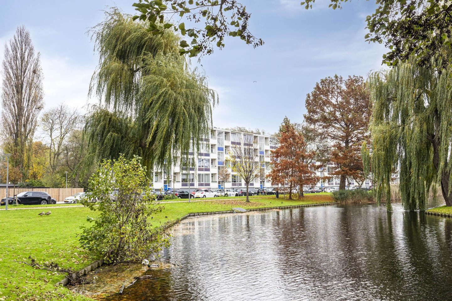 Foto 25 van Hoogenwaardstraat 74-A