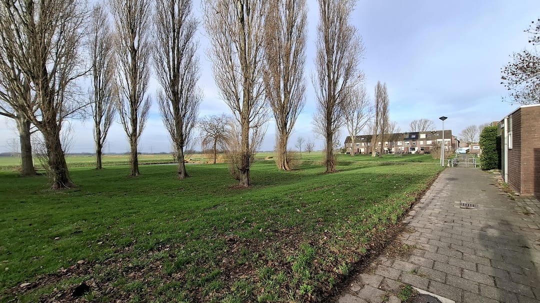 Foto 13 van Offenbachstraat 10