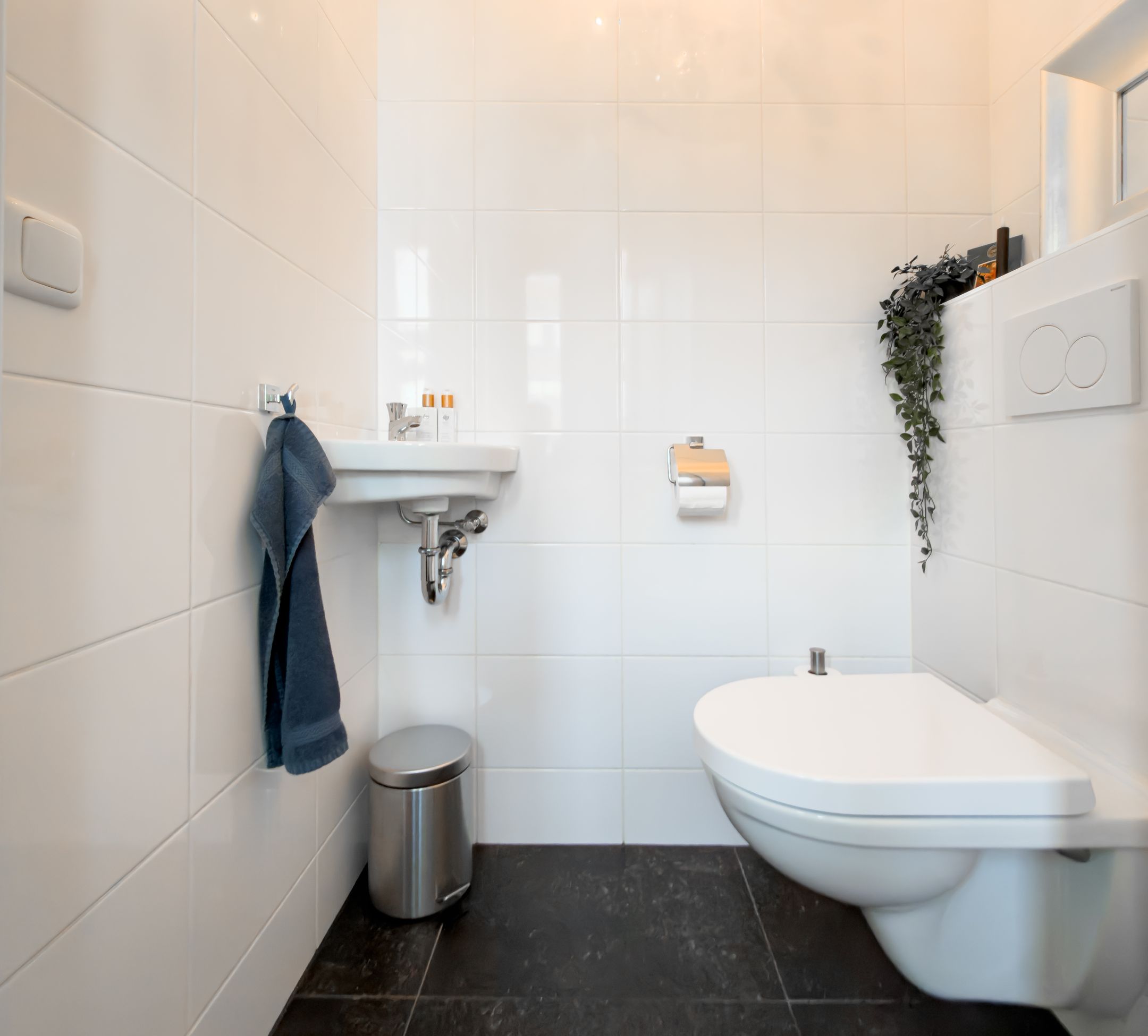 Photo 15 of Erasmuslaan 66