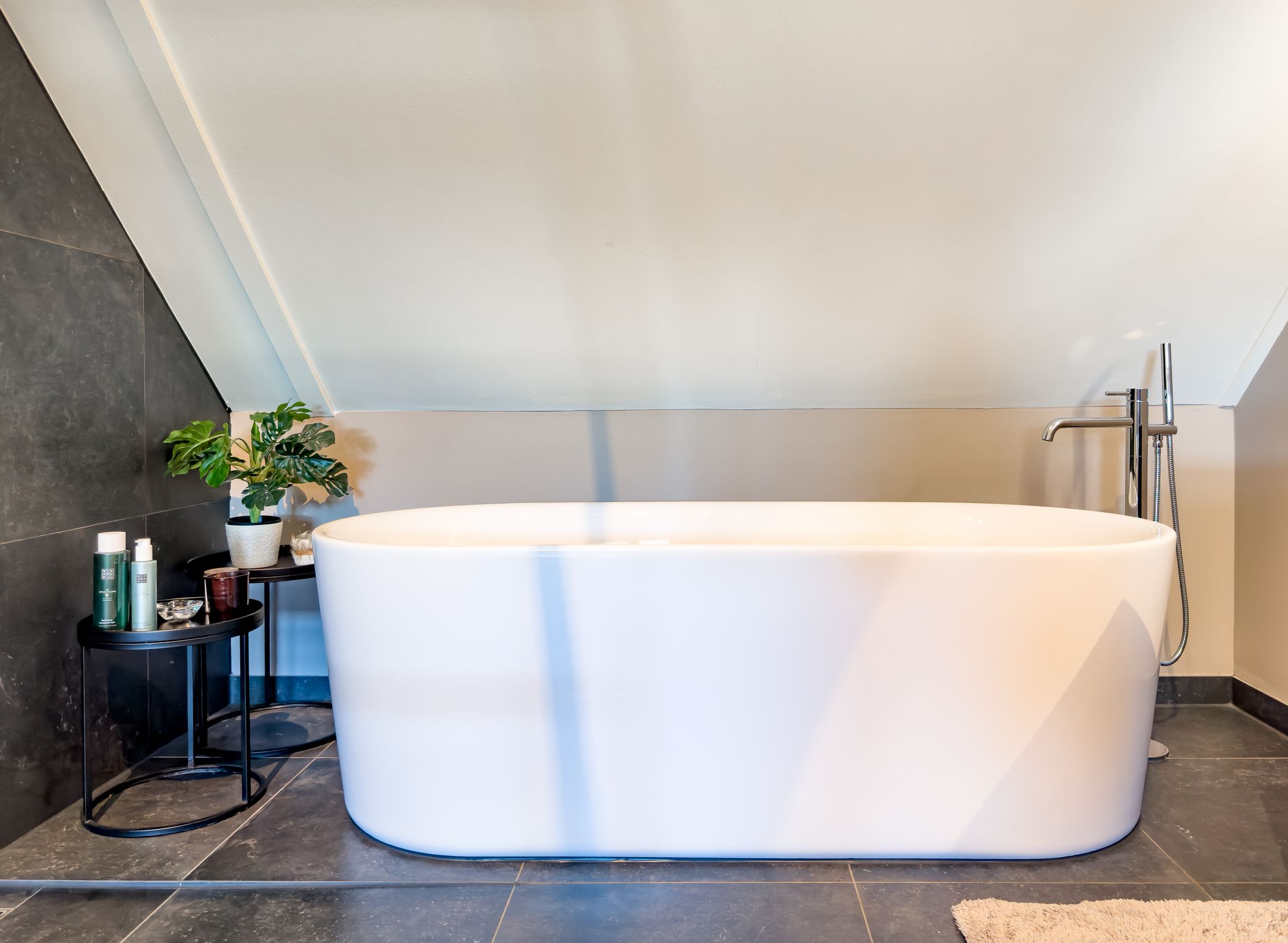 Photo 39 of Erasmuslaan 66