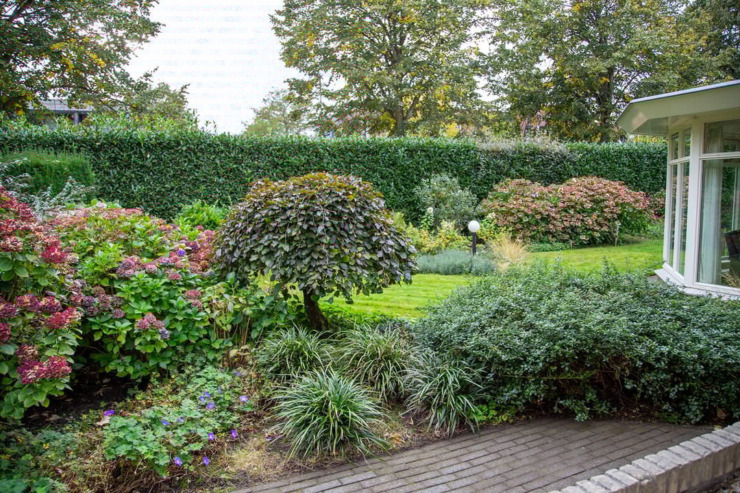 Foto 28 van Raijmakersstraat 18