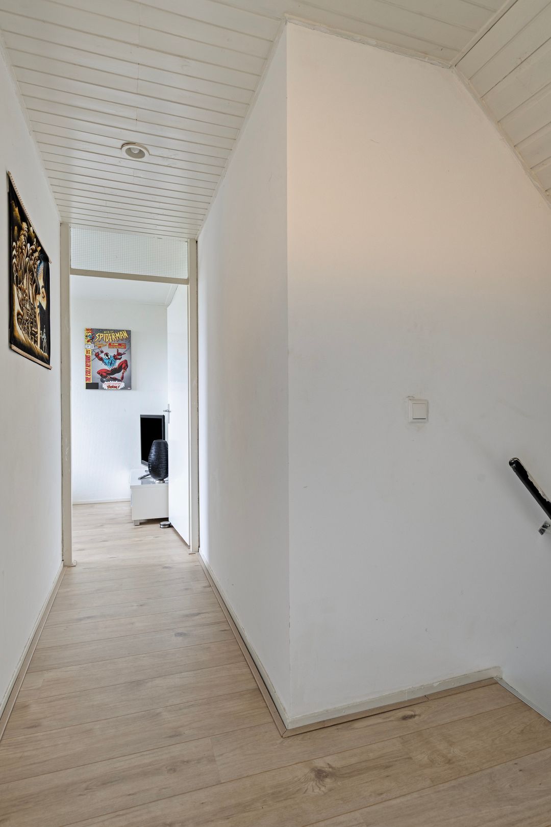 Foto 28 van Van Drielstlaan 3