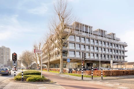 Schubertsingel thumbnail