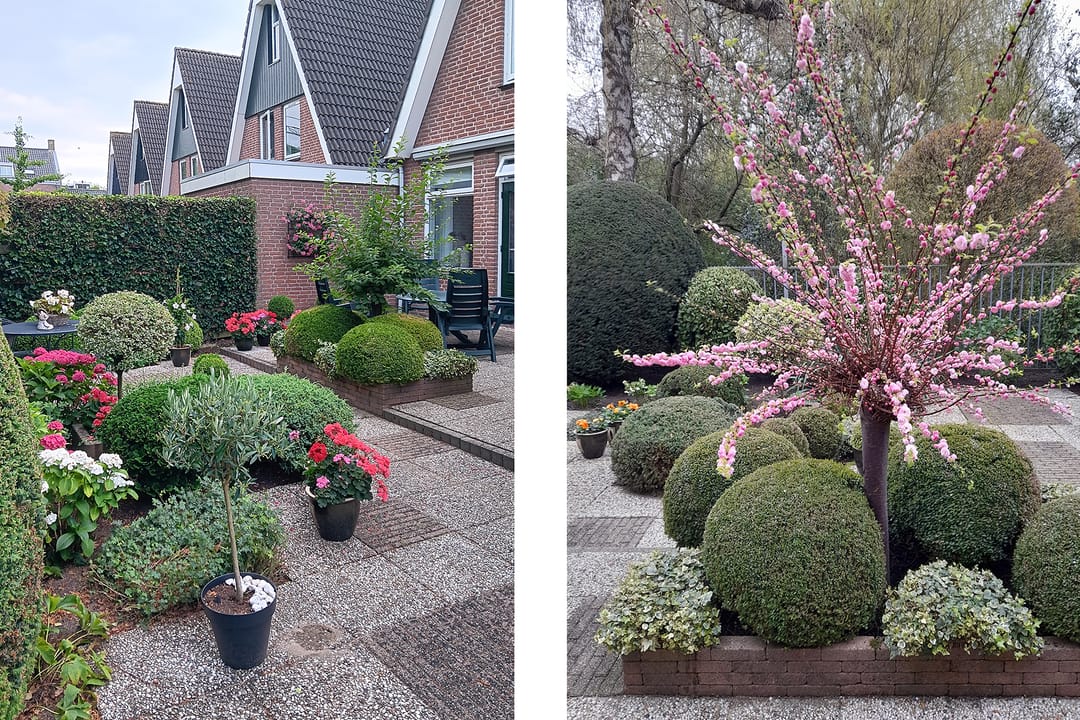 Photo 31 of Van Speijkstraat 1