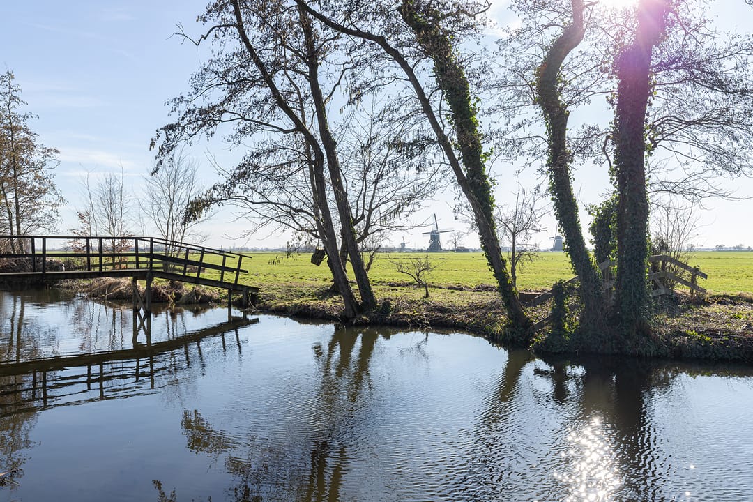 Foto 31 van Zwanenvliet 28