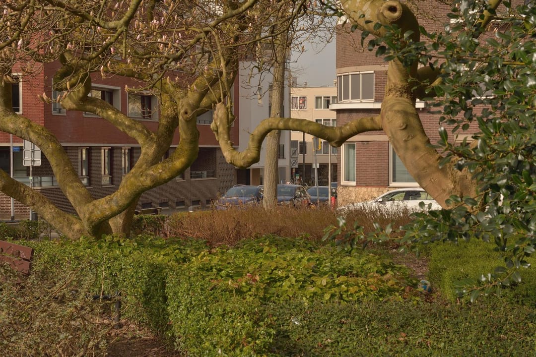 Foto 2 van Raadhuisstraat 66