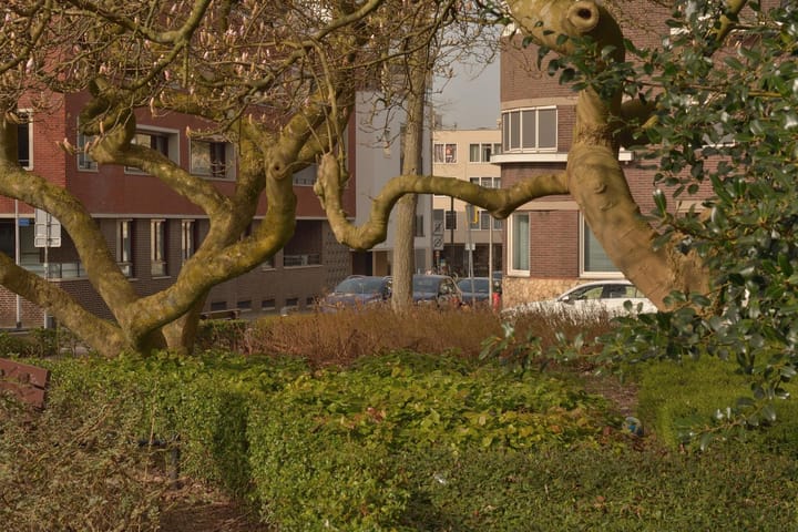 Foto 2 van Raadhuisstraat 66