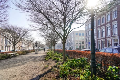 Nassauplein 11-A tertiary image