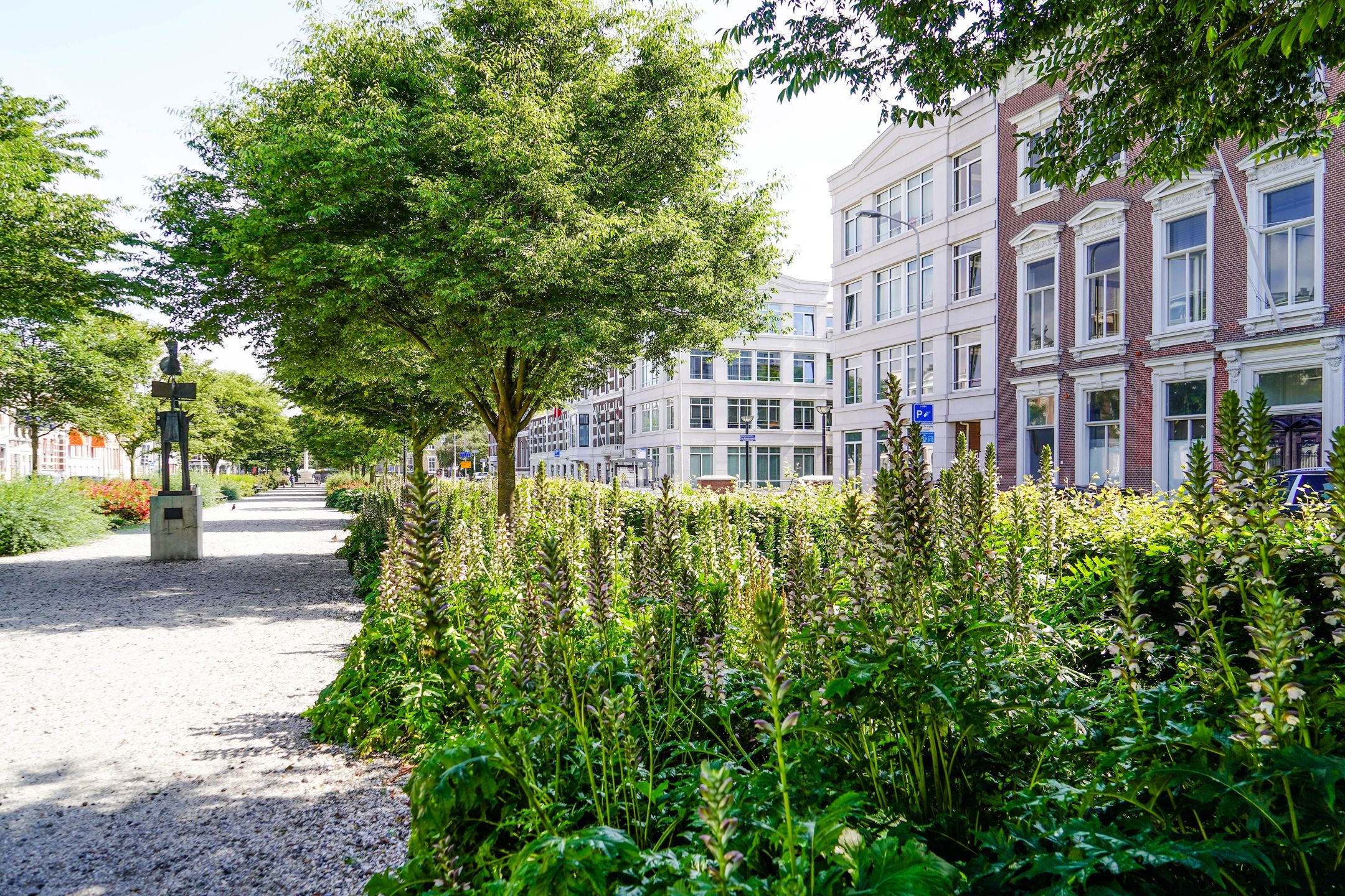 Photo 60 of Nassauplein 11-A
