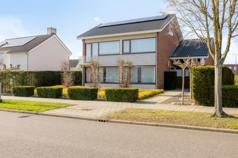 undefined main image