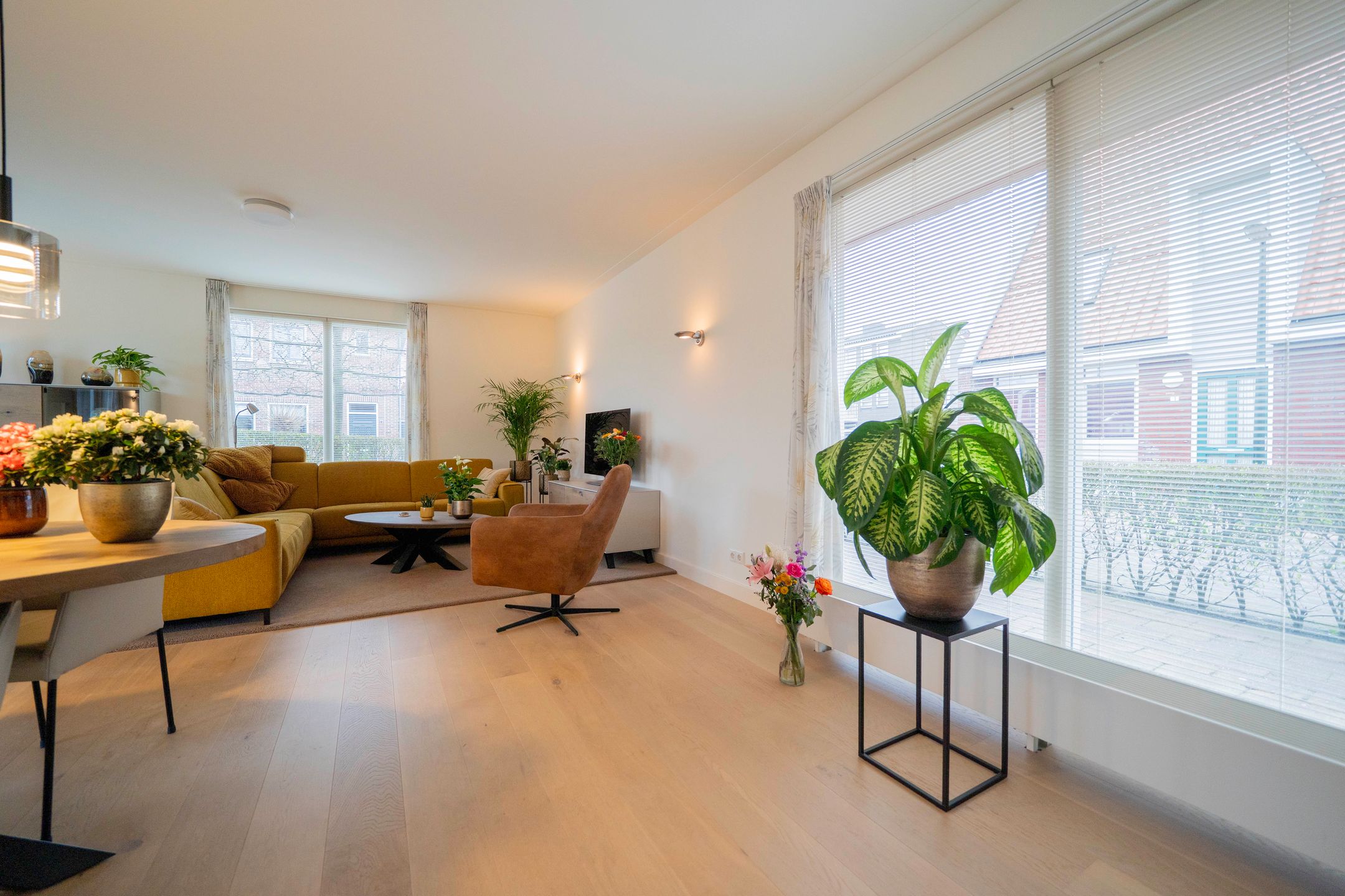 Foto 9 van Roosterhout 2