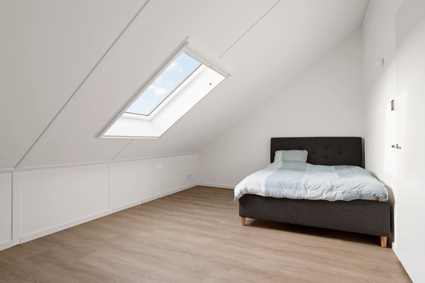 Photo 29 of Stokroos 18