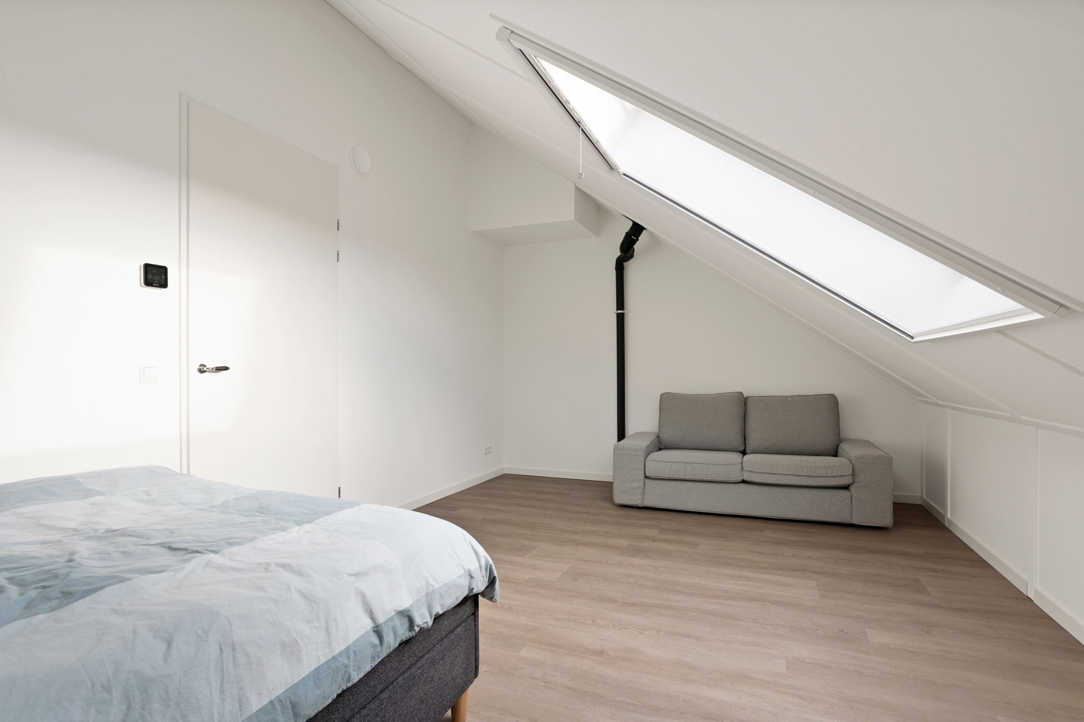 Photo 30 of Stokroos 18