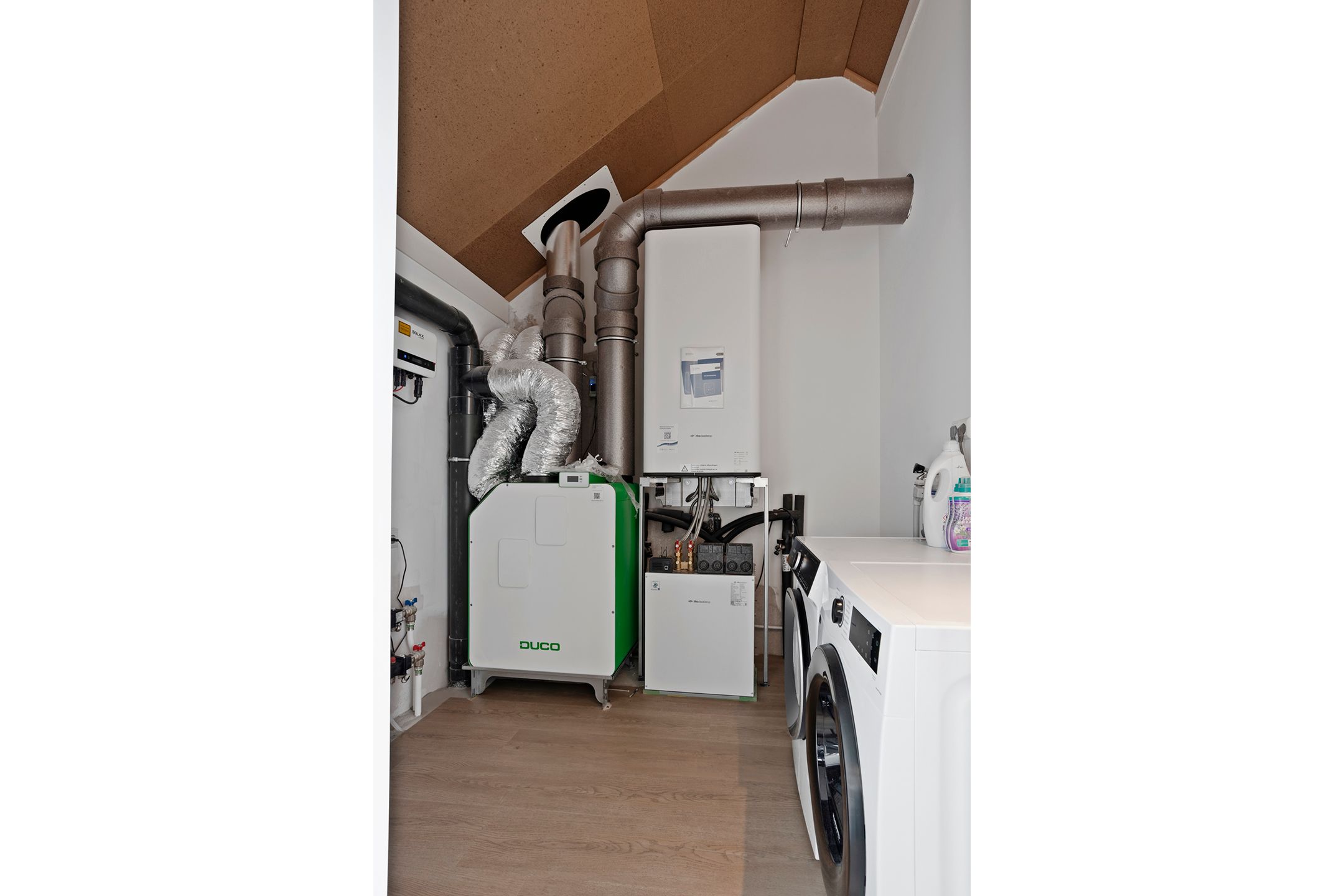 Photo 33 of Stokroos 18