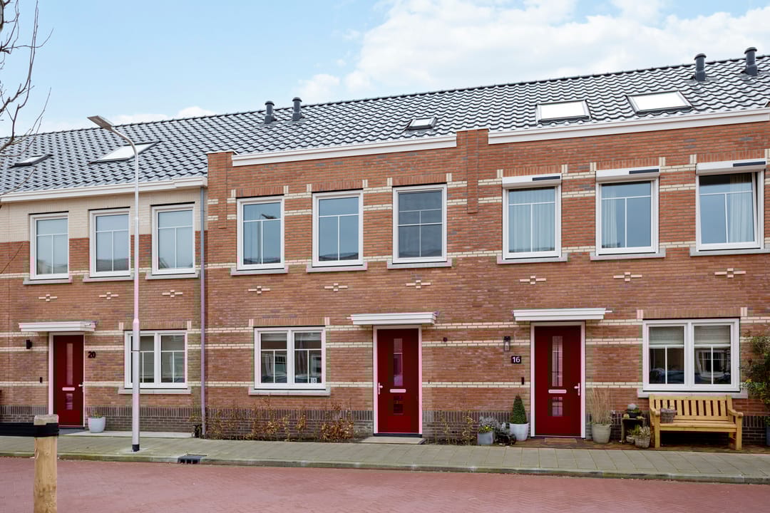 Photo 37 of Stokroos 18