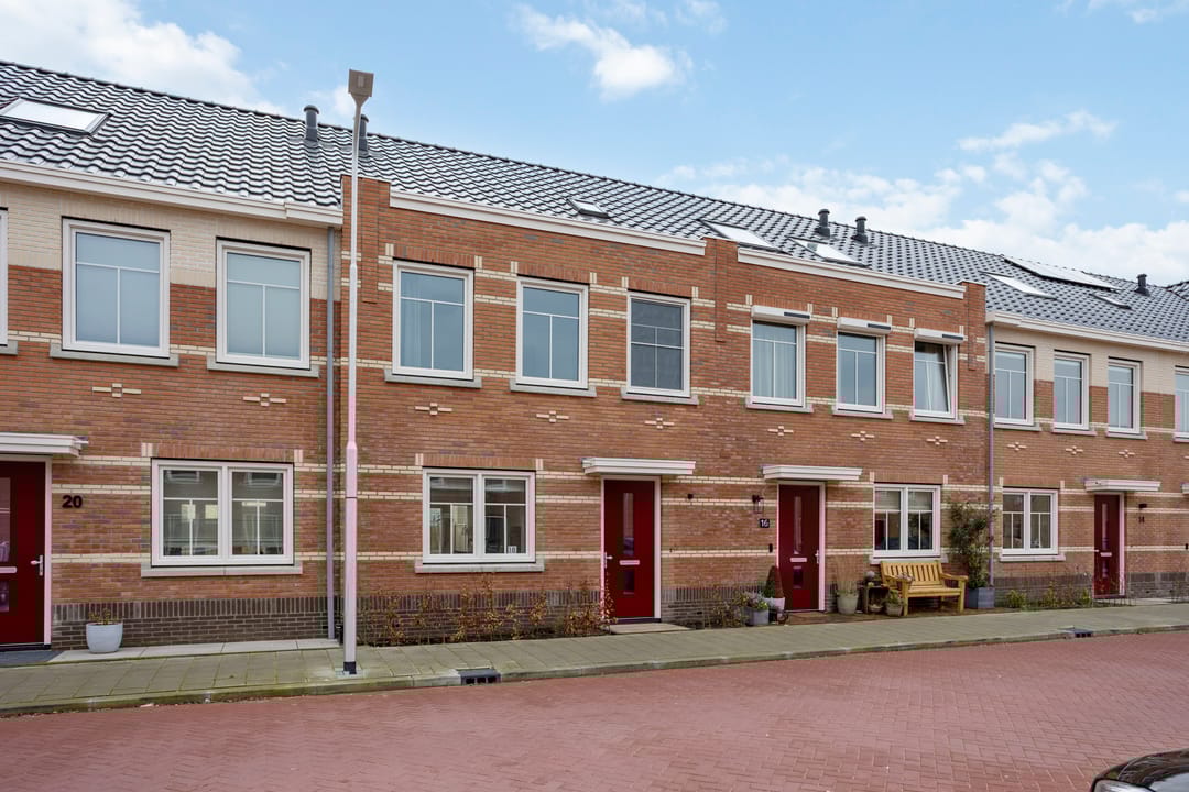 Photo 38 of Stokroos 18