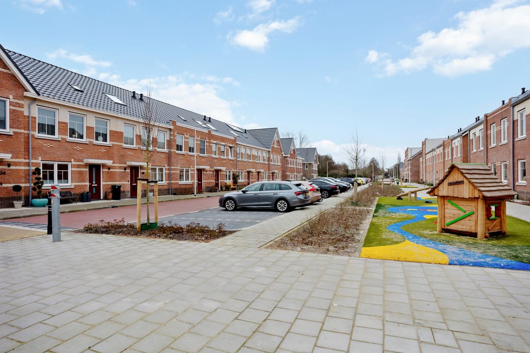 Photo 41 of Stokroos 18