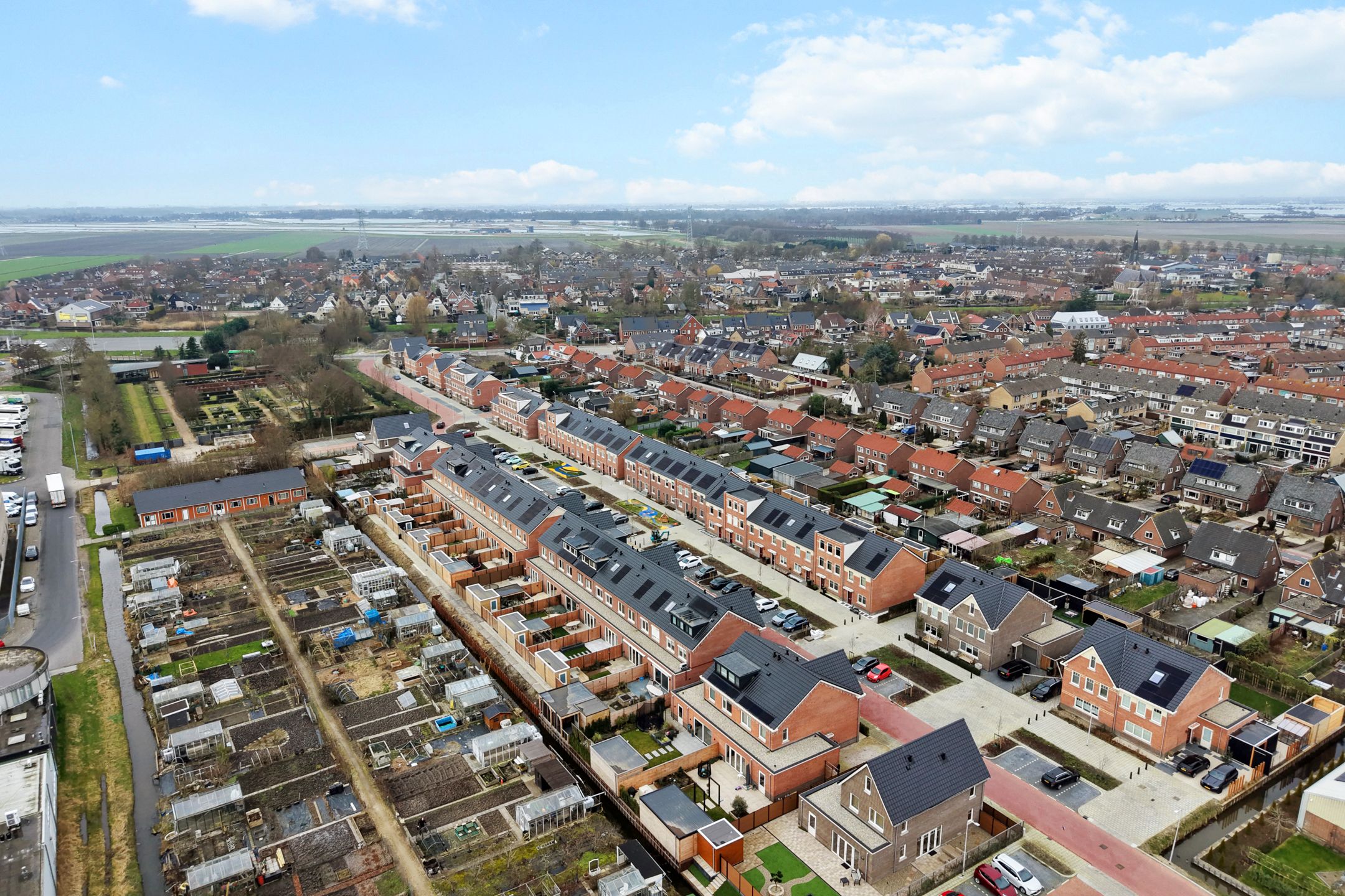 Photo 48 of Stokroos 18