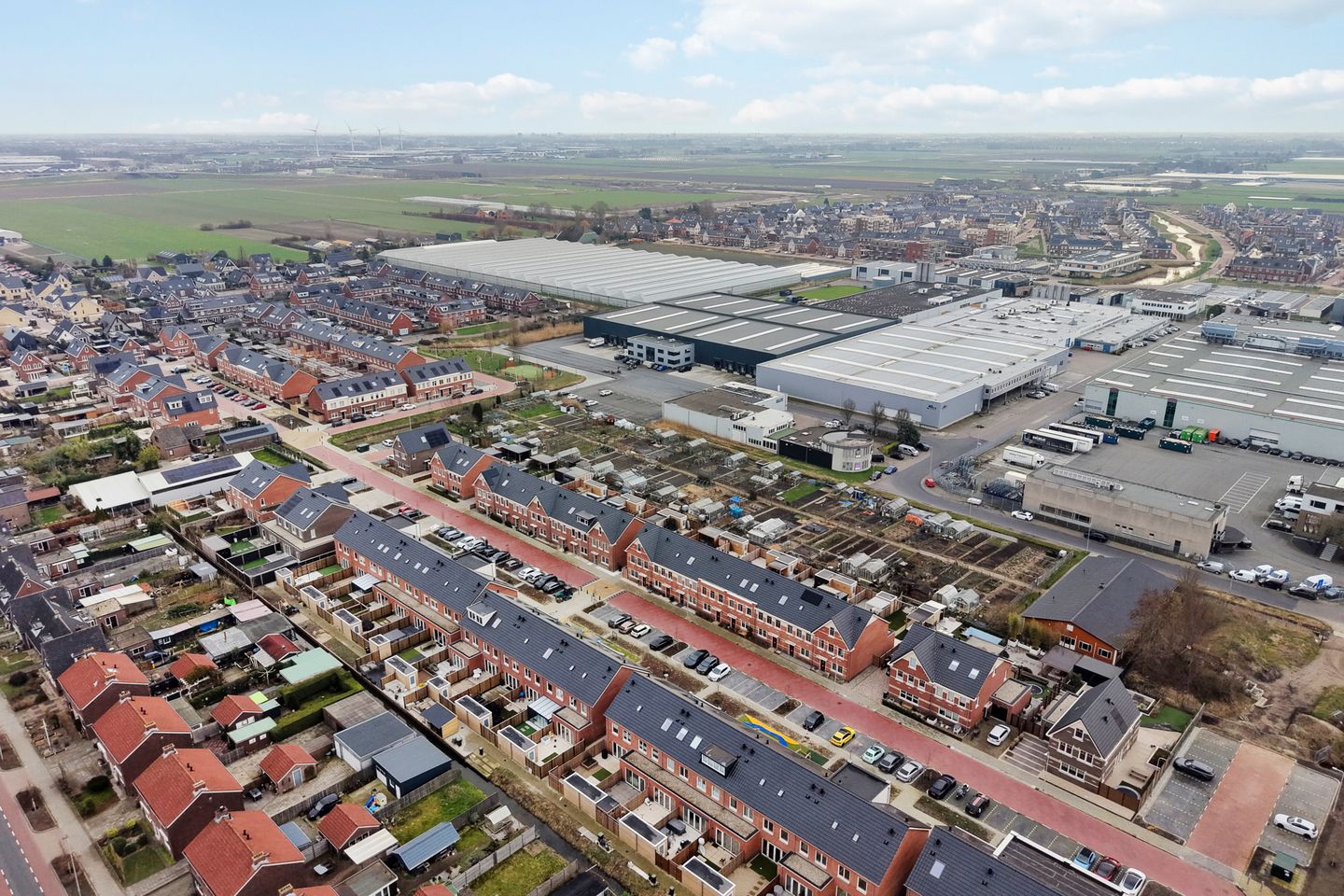 Photo 49 of Stokroos 18