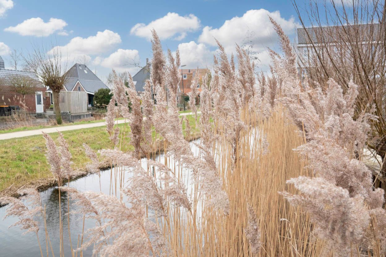 Foto 57 van Roosterhout 2