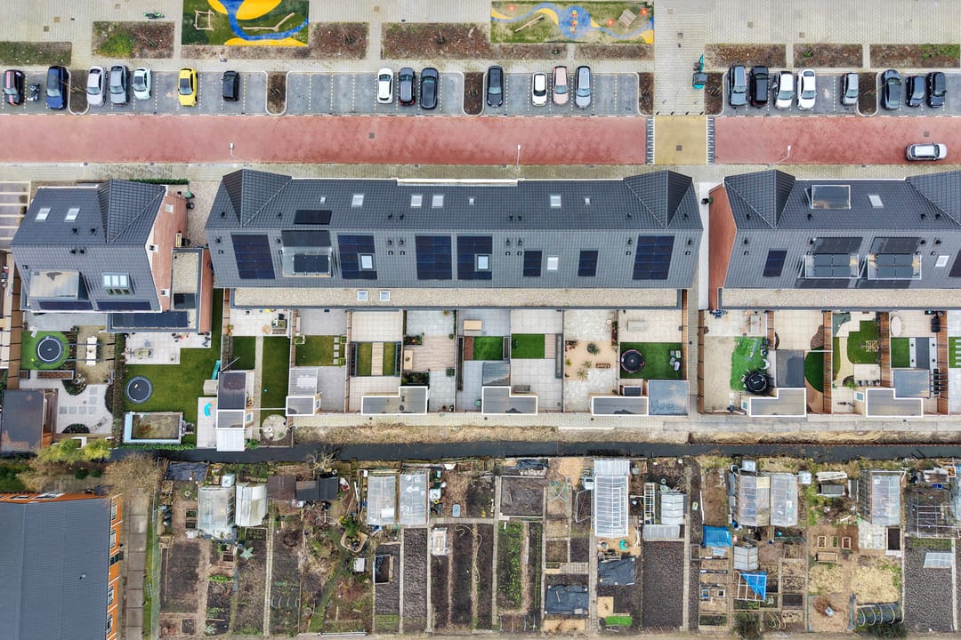 Photo 46 of Stokroos 18