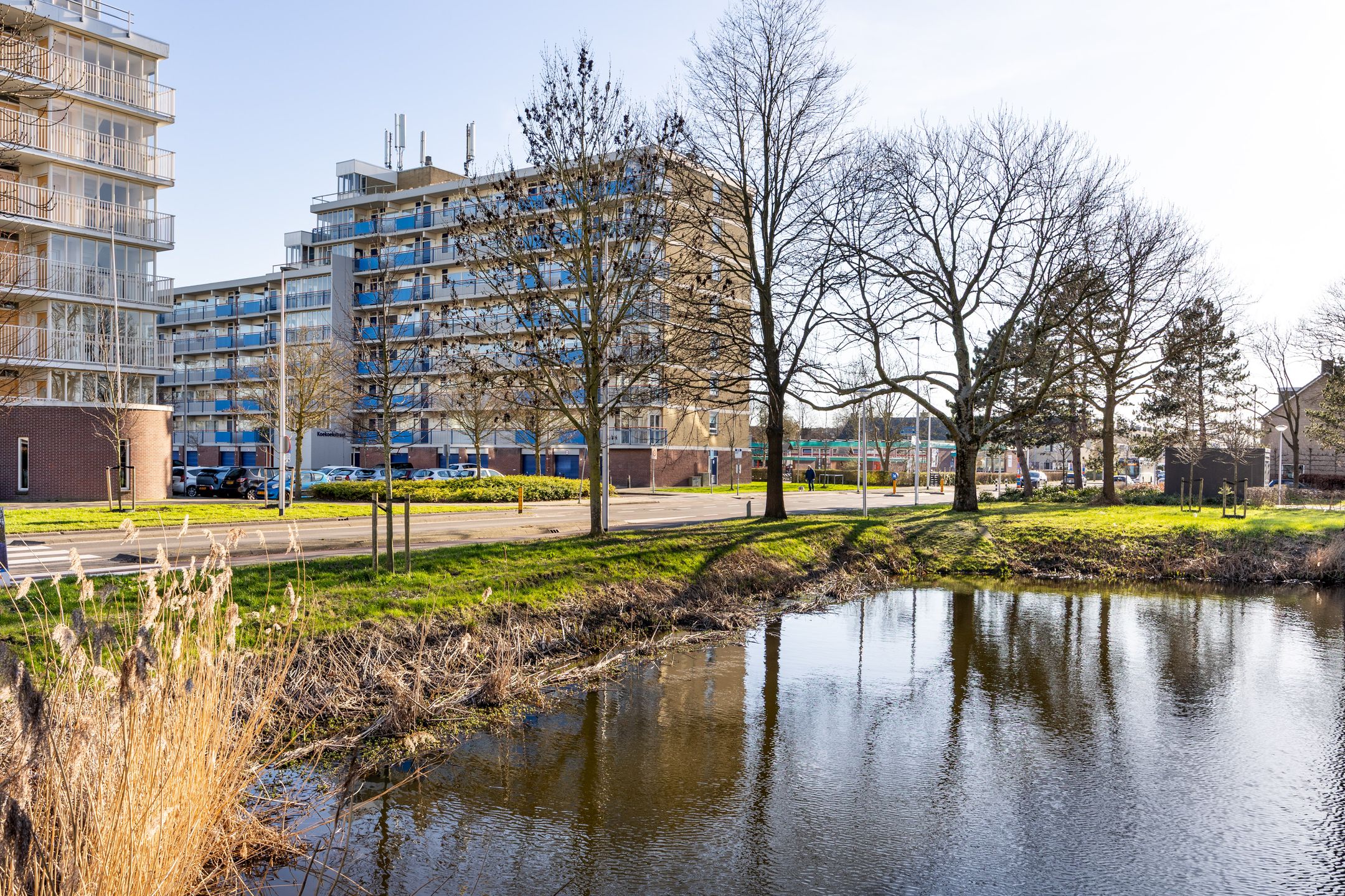 Foto 24 van Koekoekstraat 57