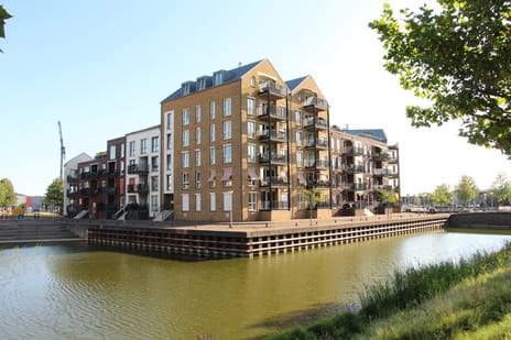 undefined main image