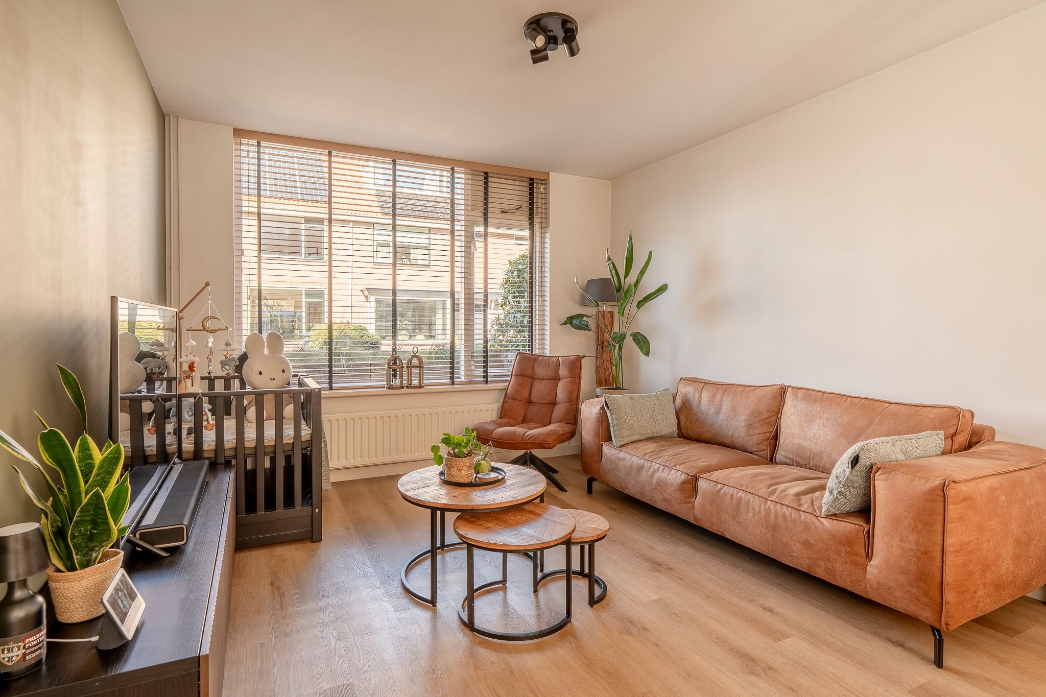 Foto 3 van Haagwinde 2