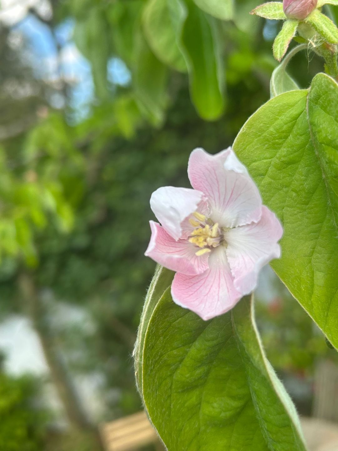 Photo 17 of 't Paadje 3